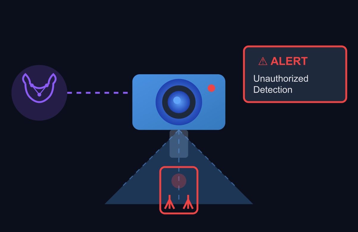 Watchman AI analytics on CCTV camera feeds