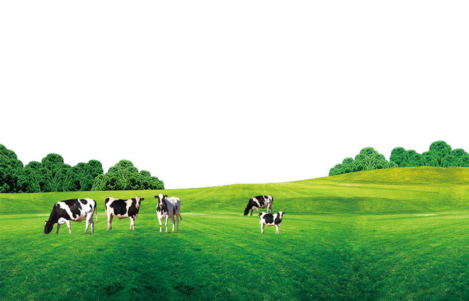 Drone livestock monitoring